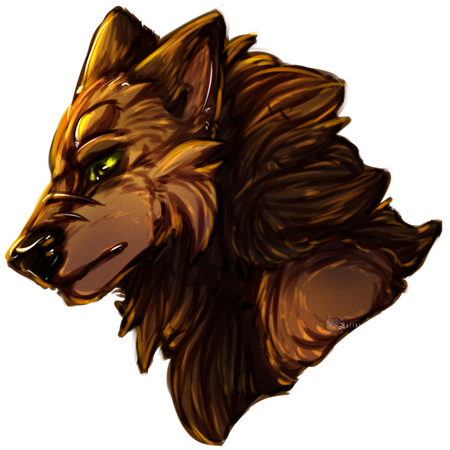 Lined Headshot